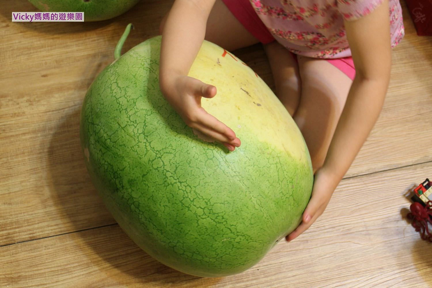 西瓜節︱食農教育︱種瓜得瓜，大人小孩開心吃瓜，開心笑哈哈