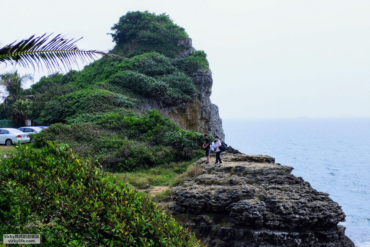 高雄景點︱柴山壽山秘境：小孩最愛的玩水聖地，抓寄居蟹，釣螃蟹，賞紅花仙人掌