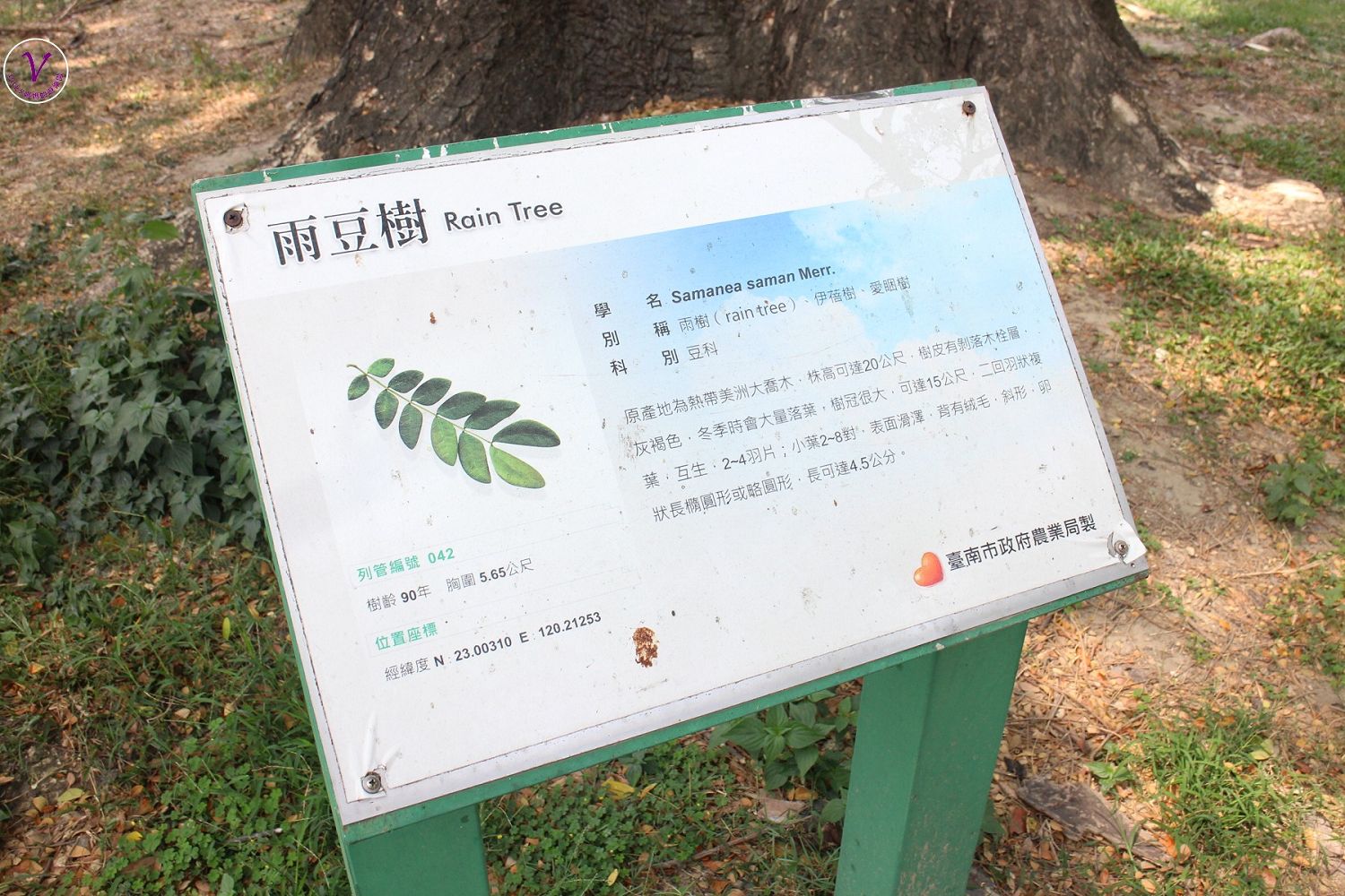 台南景點︱台南中山公園：台南最古老的公園，總圖、科學館、百年大樹、燕潭曉月、兒童遊戲區都在這