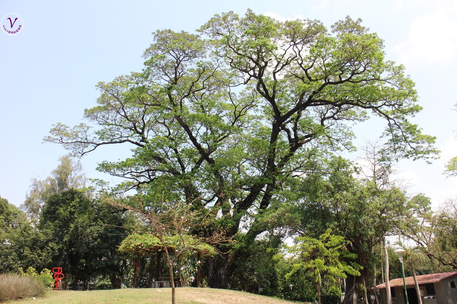 台南景點︱台南中山公園：台南最古老的公園，總圖、科學館、百年大樹、燕潭曉月、兒童遊戲區都在這