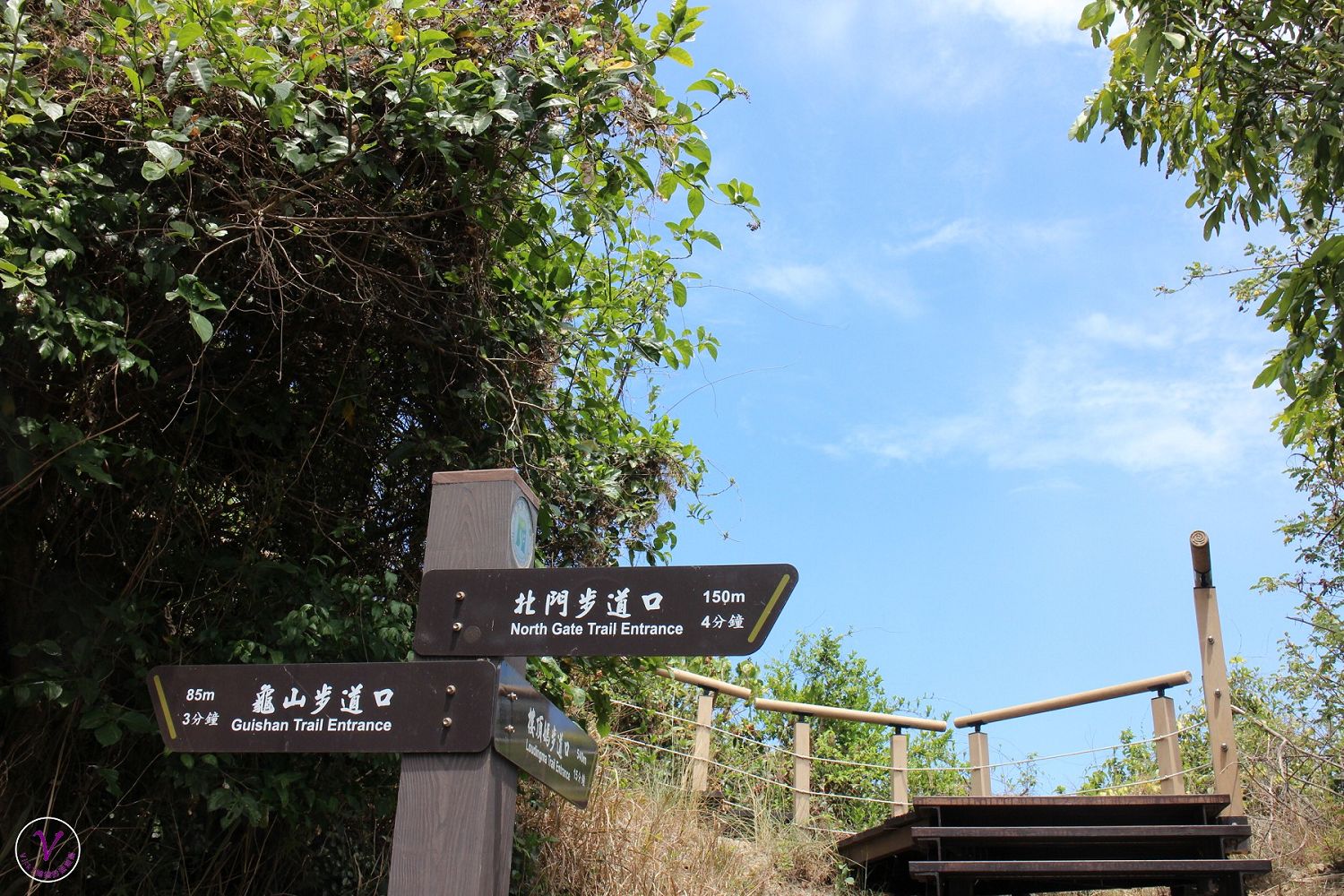高雄親子登山步道︱龜山登山步道：不到10分鐘，登高望遠蓮池潭，左營美景就在腳下