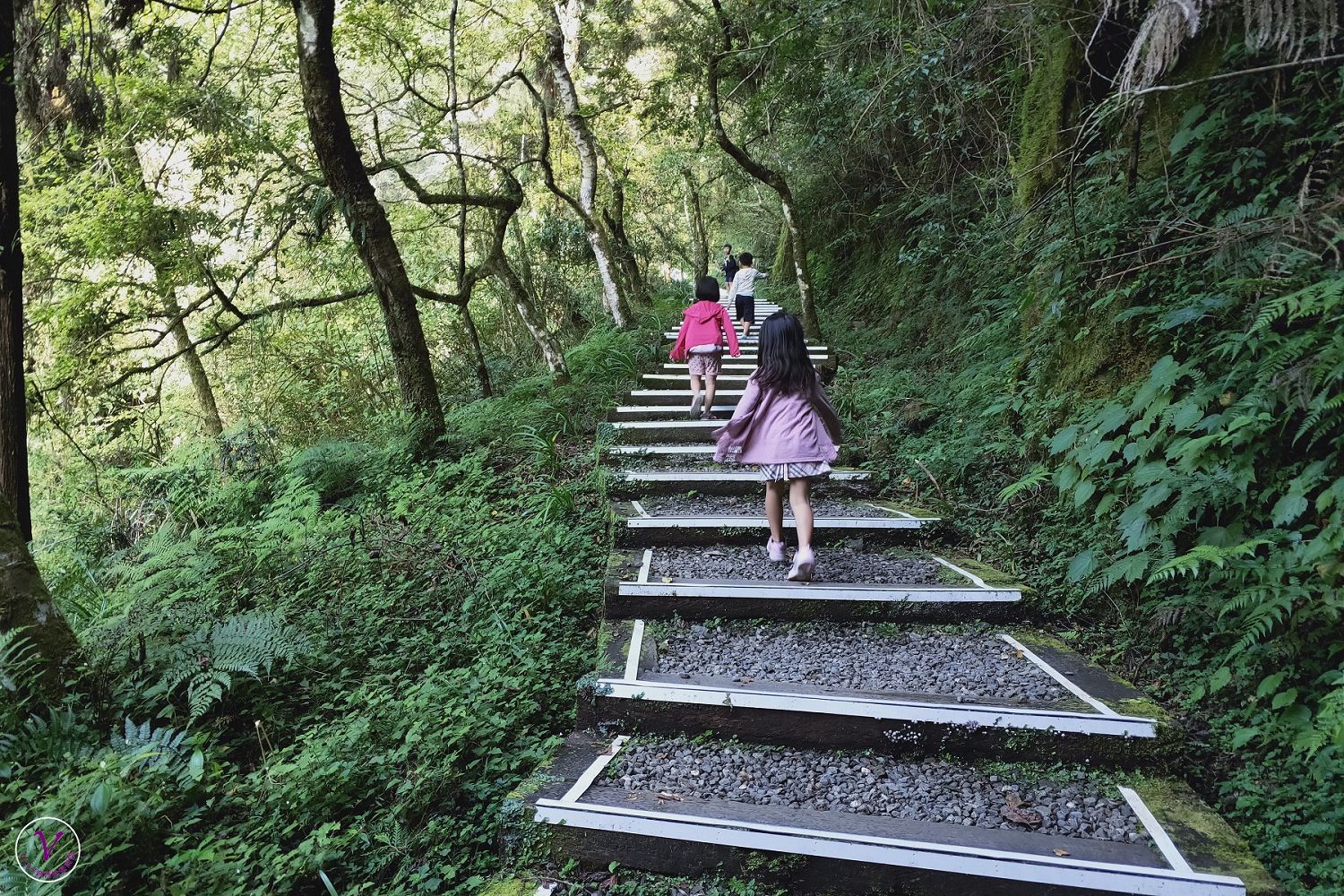 南投景點︱杉林溪森林遊樂區：享受四季不同景觀的渡假聖地，賞花、步道、觀瀑都滿足