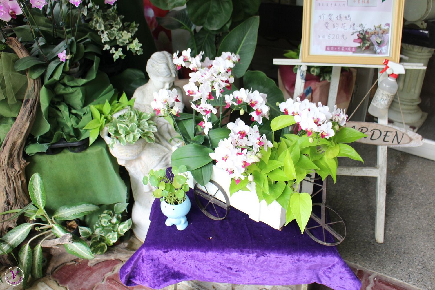 台南景點︱蘭科植物園：賞稀奇古怪的蘭花、買品種不多見的蘭花、在蘭花園裡用餐