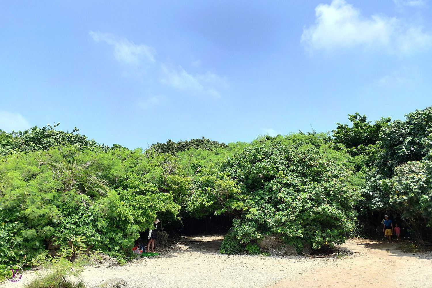 墾丁景點︱小巴里島岩：藏在樹林後的台版馬爾地夫，水清澈到可看見魚在游泳，也是潛水勝地，是墾丁必訪景點