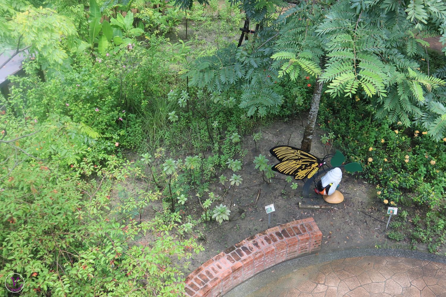 高雄景點︱免費景點︱金獅湖蝴蝶園：全台最大網室蝴蝶園！蝴蝶就在身旁飛舞著