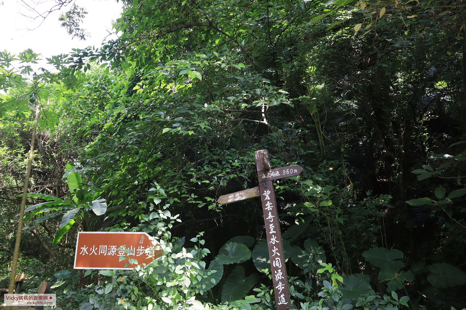 台南親子登山步道︱碧雲火泉步道、水火同源登山步道、碧雲寺登山步道：一條步道竟然有三個名稱，而且還連結了2個百年景點哩