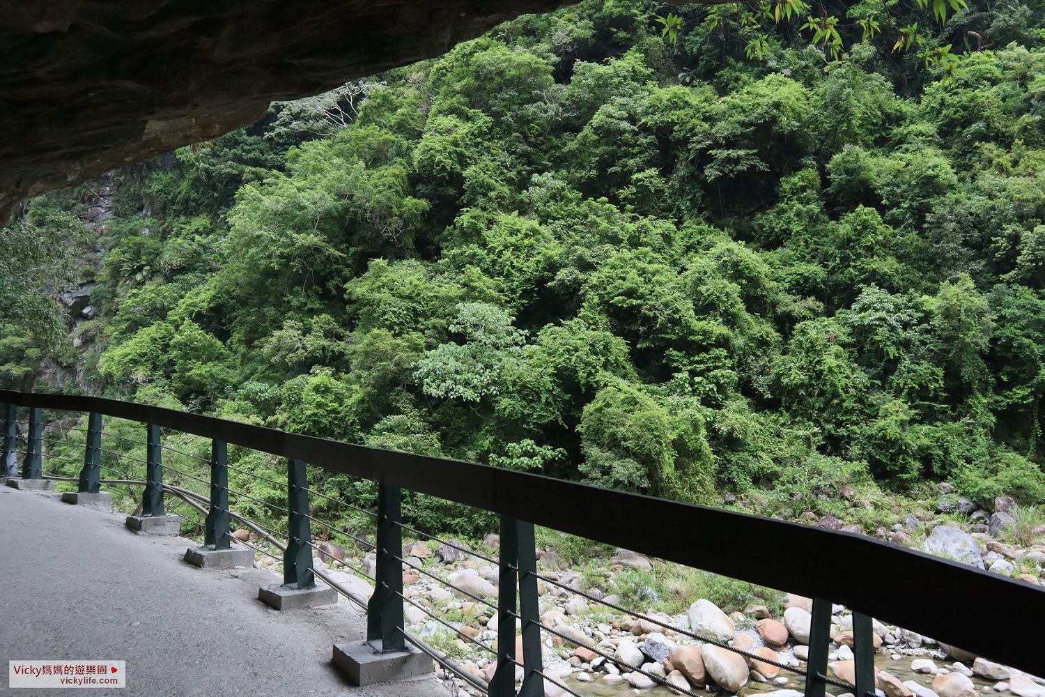 花蓮景點︱親子登山健行步道：砂卡礑步道，太魯閣國家公園內的絕美步道