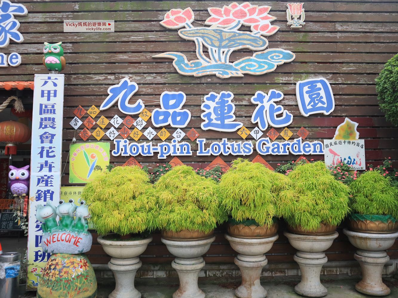 台南景點︱九品蓮花生態教育園區：太神奇！一年四季都能賞蓮，還能喝清香的香水蓮花茶