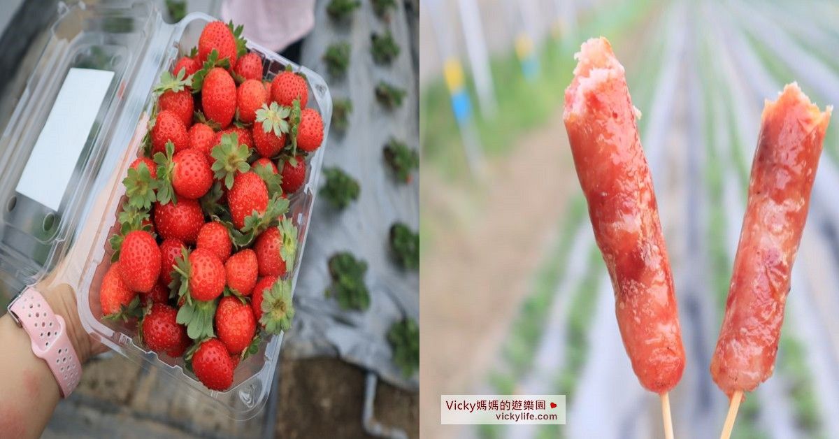 台南景點︱開心有機農場：採有機草莓好放心，不噴農藥，不施化學肥料，又有成大認證 @Vicky 媽媽的遊樂園