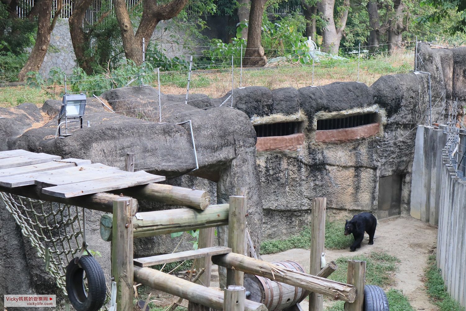 高雄親子景點︱壽山動物園：占地12.89公頃，邊逛邊運動，這裡不僅有飛禽走獸，還可以餵可愛的波爾羊