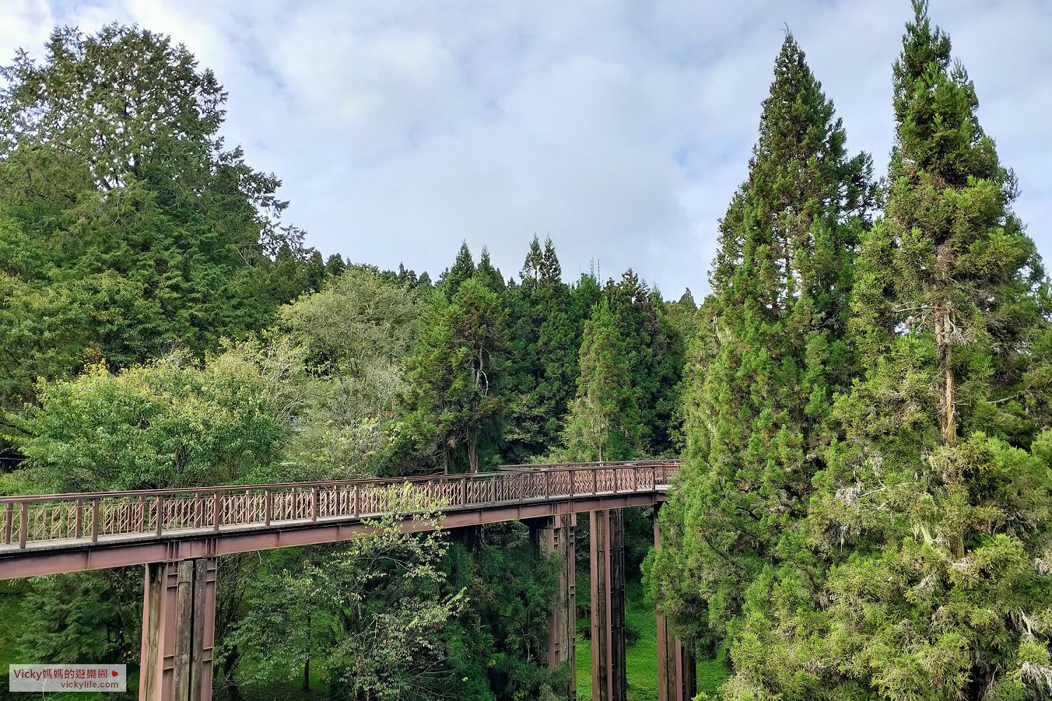 嘉義景點︱森林小火車訂票流程：一起來阿里山國家森林遊樂區搭火車、賞日出、看雲海