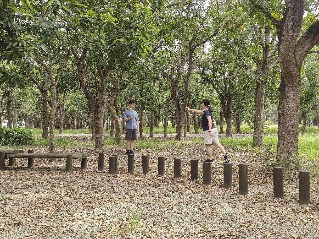 台南官田景點推薦|大隆田生態文化園區:探訪軍營遺跡、森林步道與特色攀爬網 台南官田景點推薦|大隆田生態文化園區:探訪軍營遺跡、森林步道與特色攀爬網