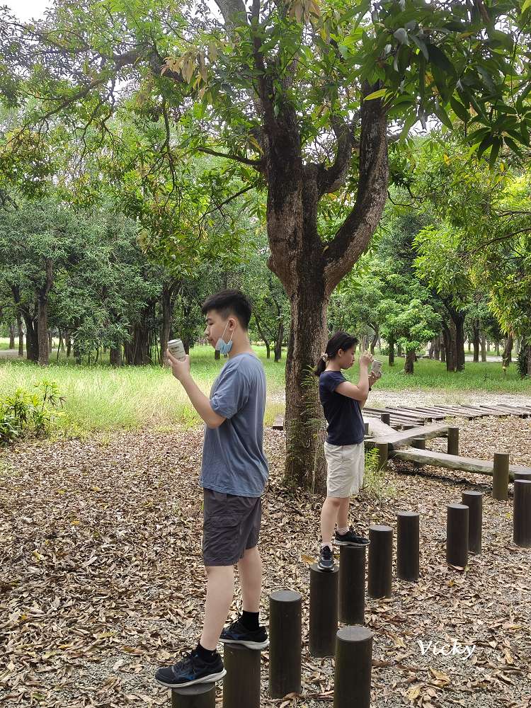 台南官田景點推薦｜大隆田生態文化園區：探訪軍營遺跡、森林步道與特色攀爬網