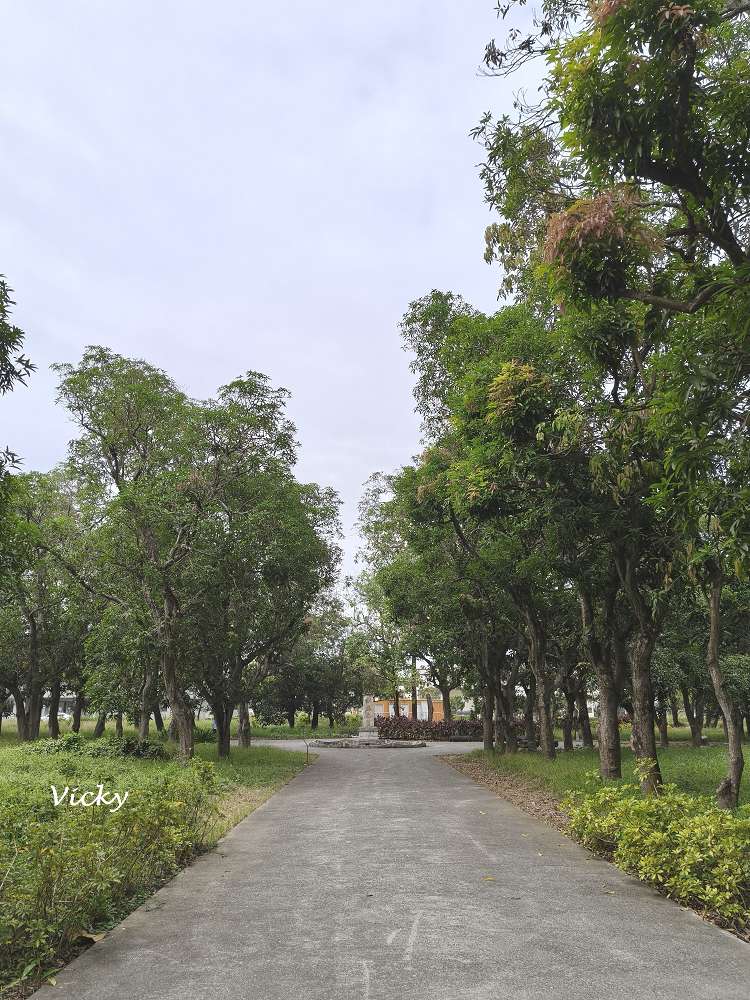 台南官田景點推薦|大隆田生態文化園區:探訪軍營遺跡、森林步道與特色攀爬網 台南官田景點推薦|大隆田生態文化園區:探訪軍營遺跡、森林步道與特色攀爬網