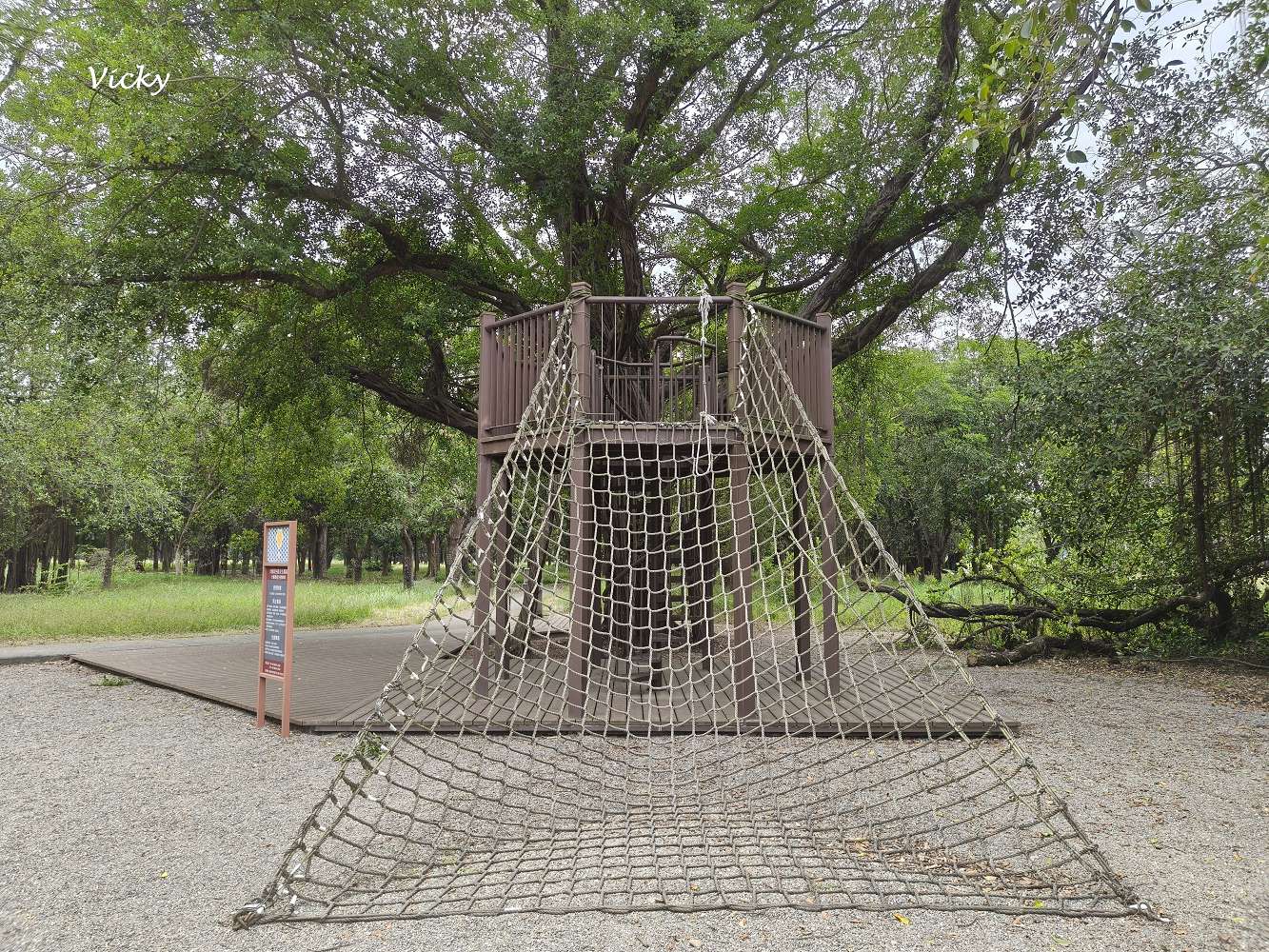 台南官田景點推薦｜大隆田生態文化園區：探訪軍營遺跡、森林步道與特色攀爬網