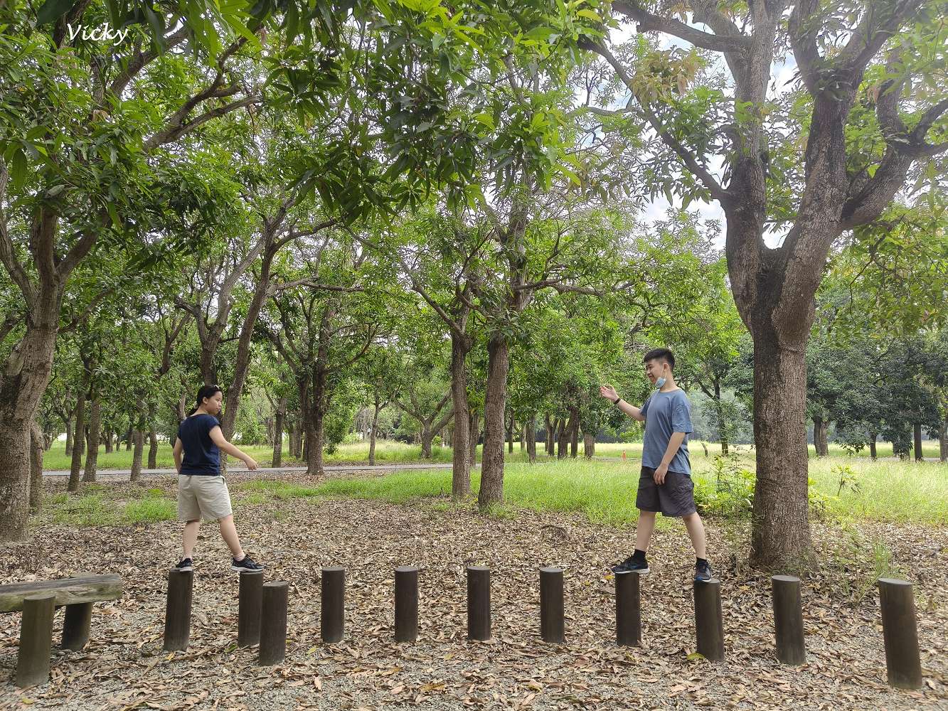 台南官田景點推薦|大隆田生態文化園區:探訪軍營遺跡、森林步道與特色攀爬網 台南官田景點推薦|大隆田生態文化園區:探訪軍營遺跡、森林步道與特色攀爬網