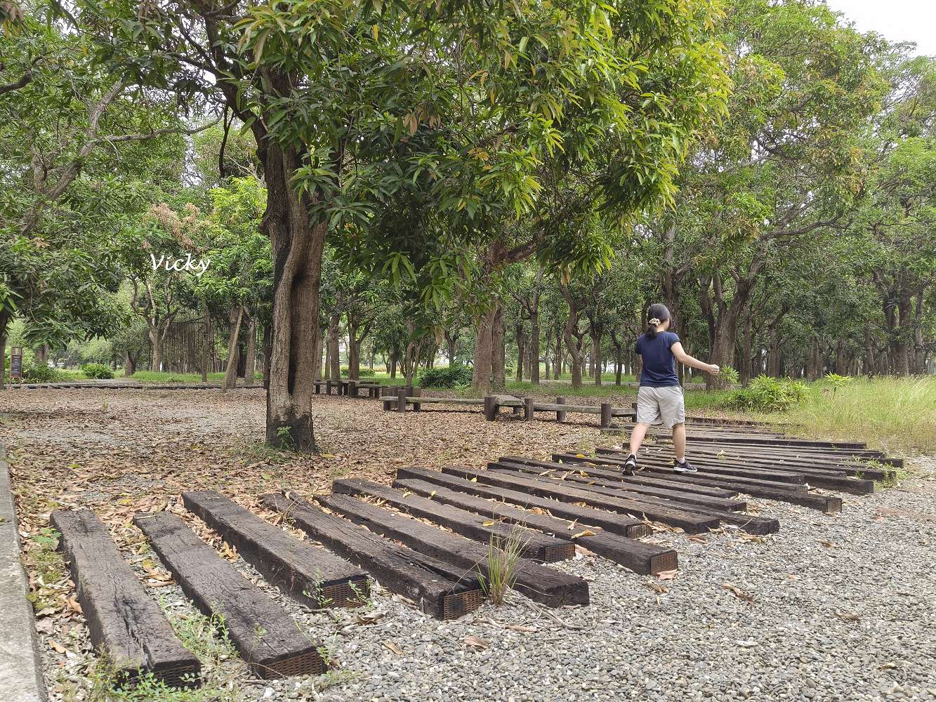 台南官田景點推薦｜大隆田生態文化園區：探訪軍營遺跡、森林步道與特色攀爬網