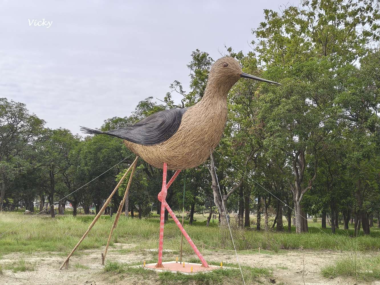 台南官田景點推薦|大隆田生態文化園區:探訪軍營遺跡、森林步道與特色攀爬網 台南官田景點推薦|大隆田生態文化園區:探訪軍營遺跡、森林步道與特色攀爬網