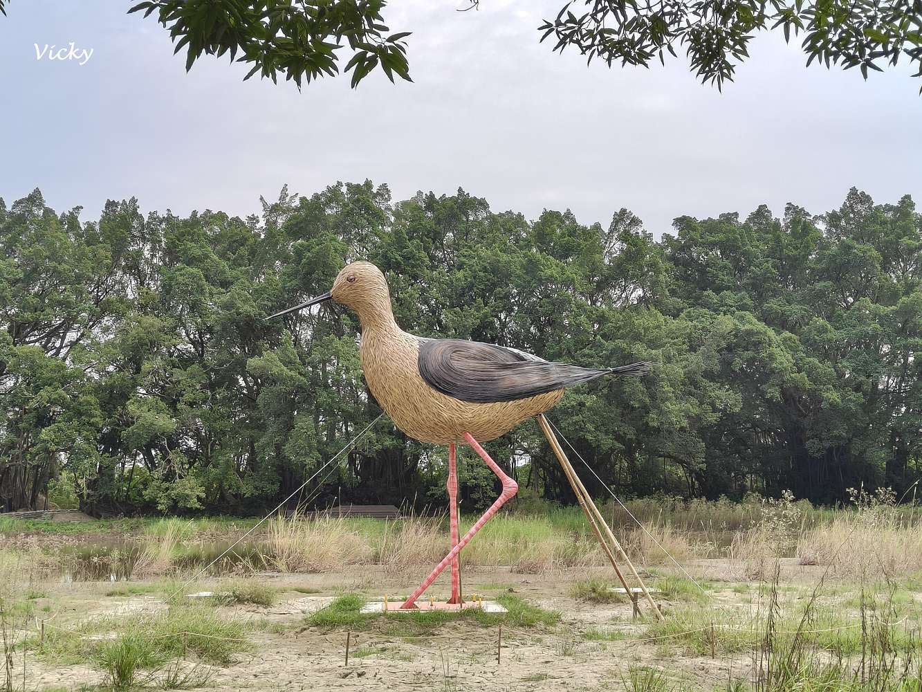 台南官田景點推薦｜大隆田生態文化園區：探訪軍營遺跡、森林步道與特色攀爬網