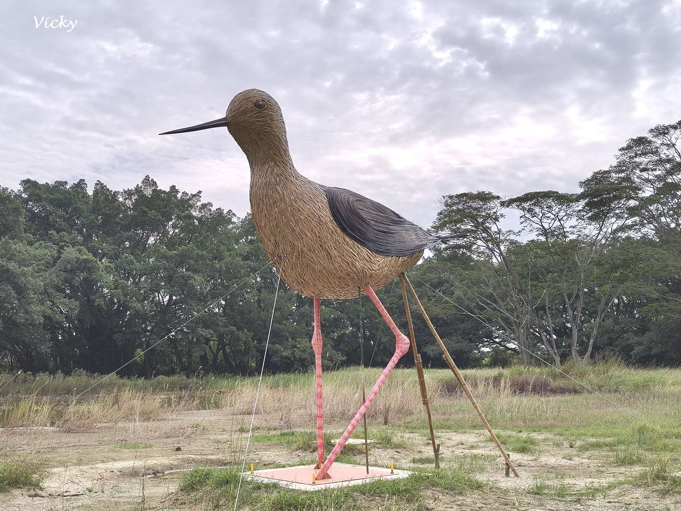 台南官田景點推薦|大隆田生態文化園區:探訪軍營遺跡、森林步道與特色攀爬網 台南官田景點推薦|大隆田生態文化園區:探訪軍營遺跡、森林步道與特色攀爬網