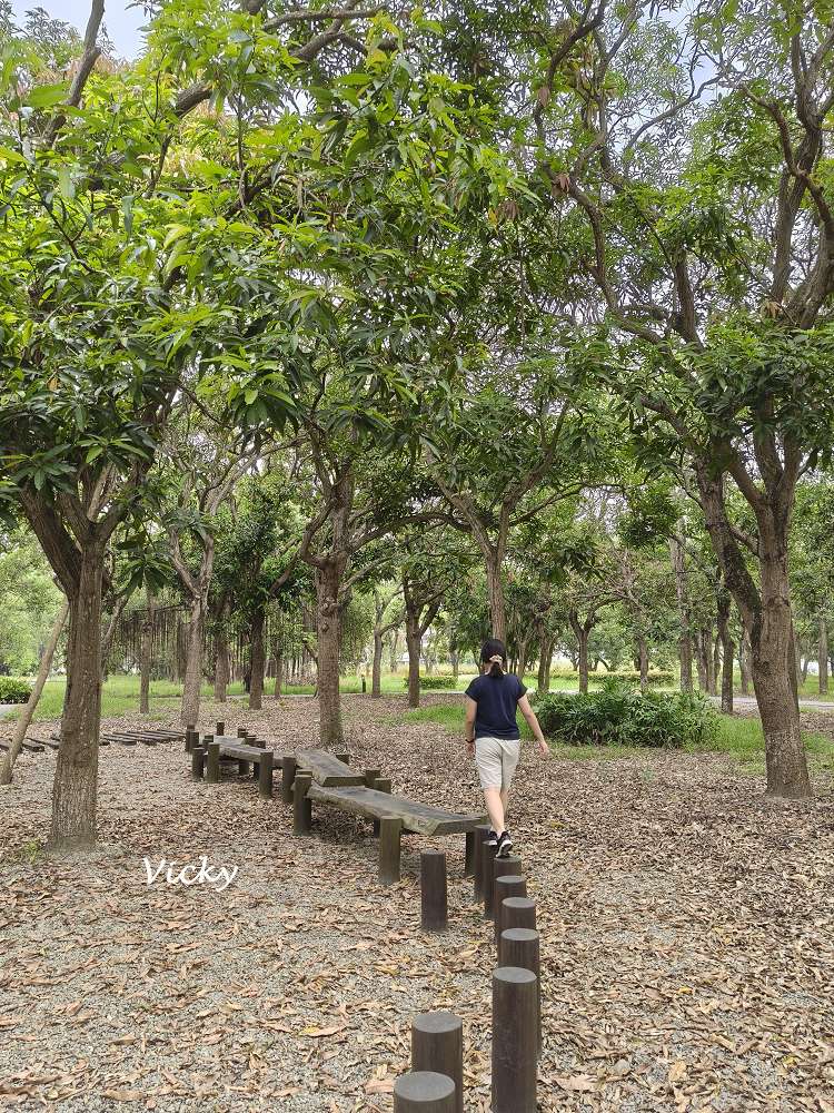 台南官田景點推薦|大隆田生態文化園區:探訪軍營遺跡、森林步道與特色攀爬網 台南官田景點推薦|大隆田生態文化園區:探訪軍營遺跡、森林步道與特色攀爬網