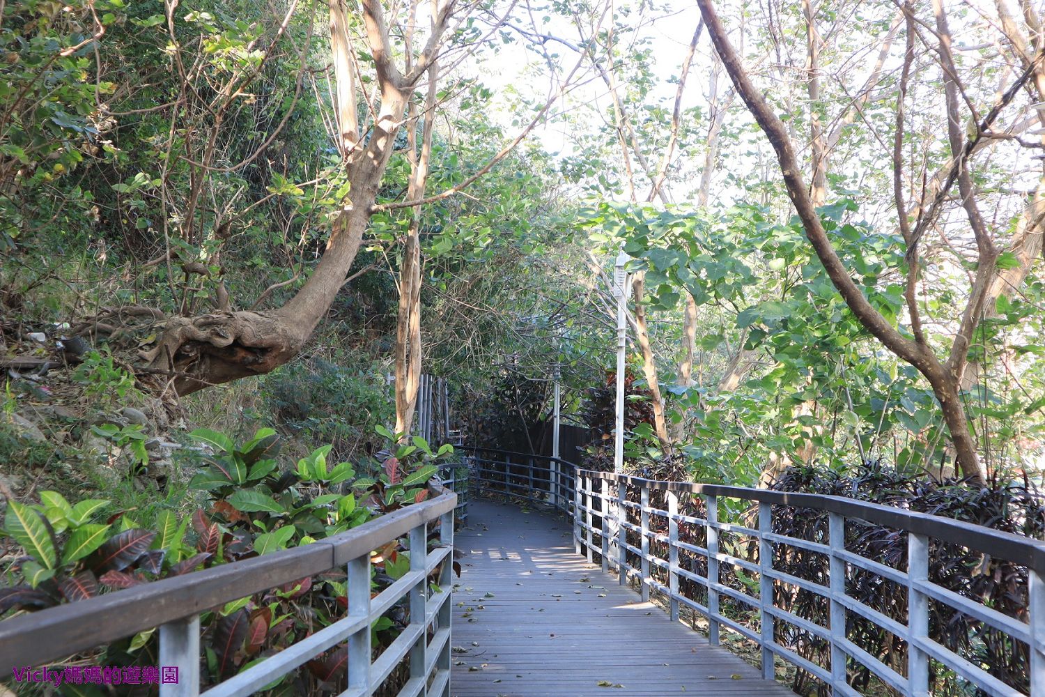 台東景點︱鯉魚山公園、步道：超親民步道，登高即可眺望太平洋、綠島和蘭嶼