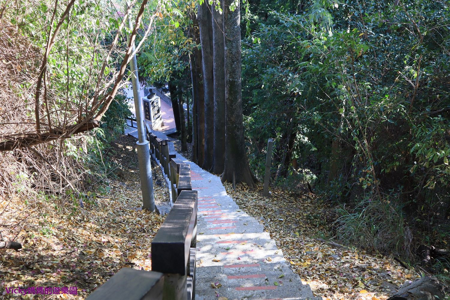 台東景點︱鯉魚山公園、步道：超親民步道，登高即可眺望太平洋、綠島和蘭嶼