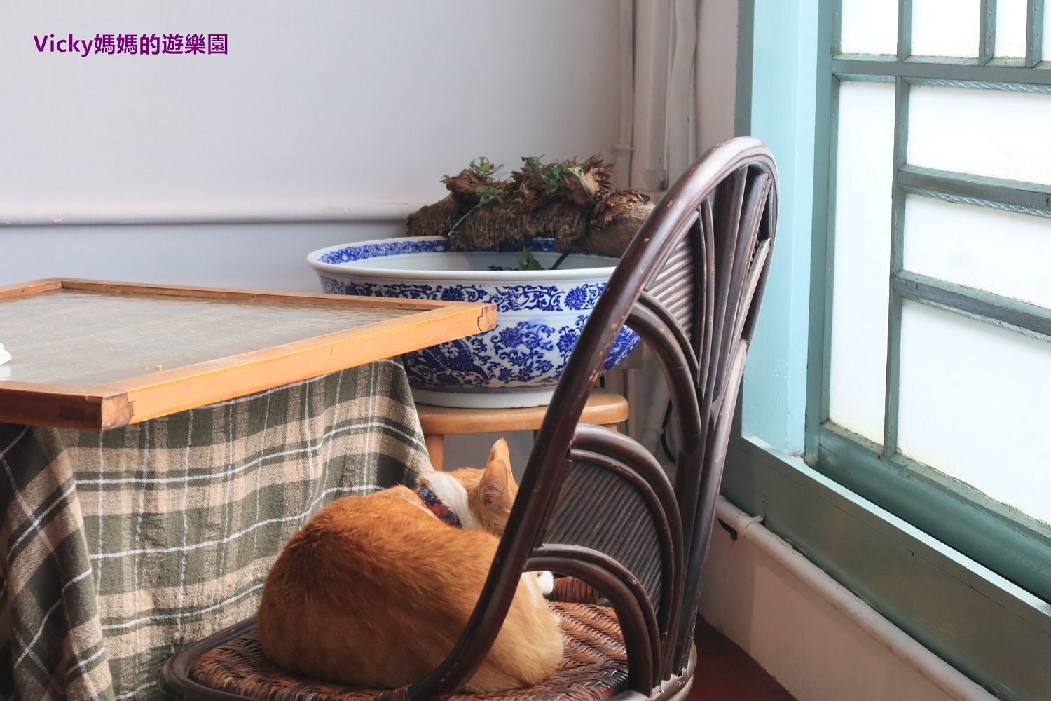 台南新化美食︱立賀佇遮：優質的老屋空間，盡情畫圖與閱讀、還可享受台式拌麵及養生飲品，也能和店長奶茶玩耍