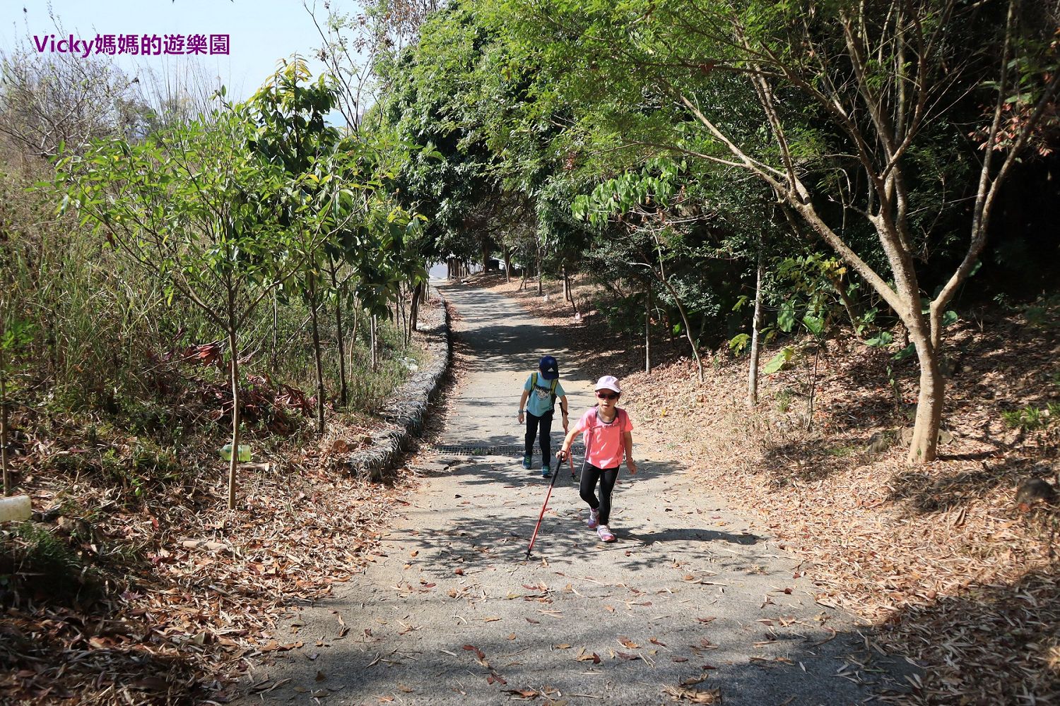 高雄親子登山健行步道︱旗尾山：登上第72號小百岳真的沒有那麼難，只要通過941層階梯的挑戰