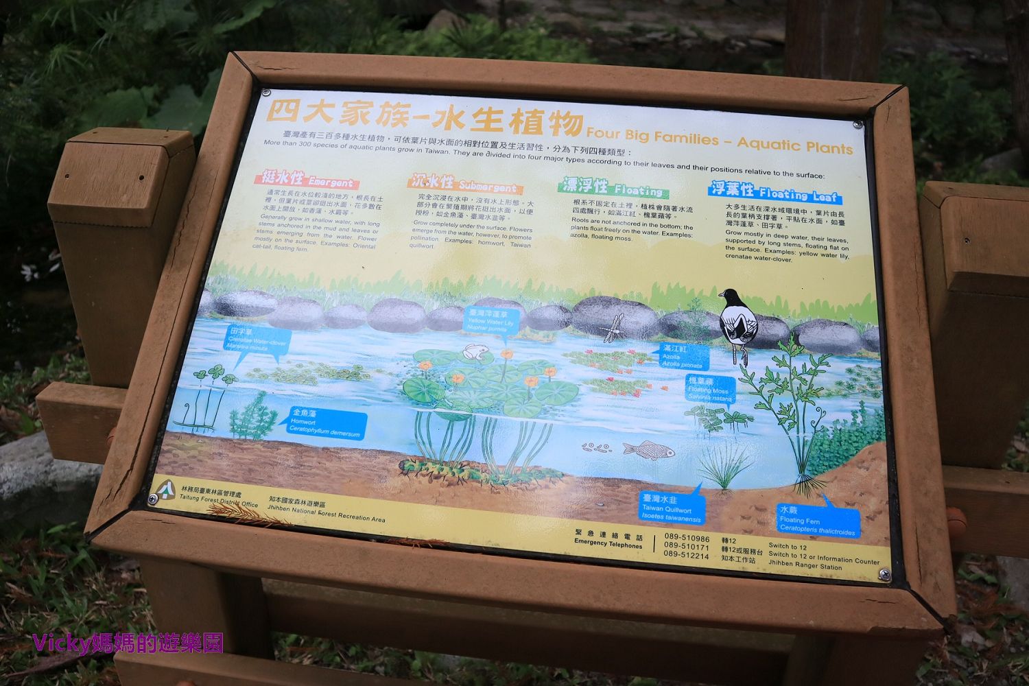 台東景點︱知本國家森林遊樂區：享受鳥語花香，看動植物多樣性，挑戰好漢坡和吊橋，泡沁涼的按摩池，好舒服好愜意的旅行