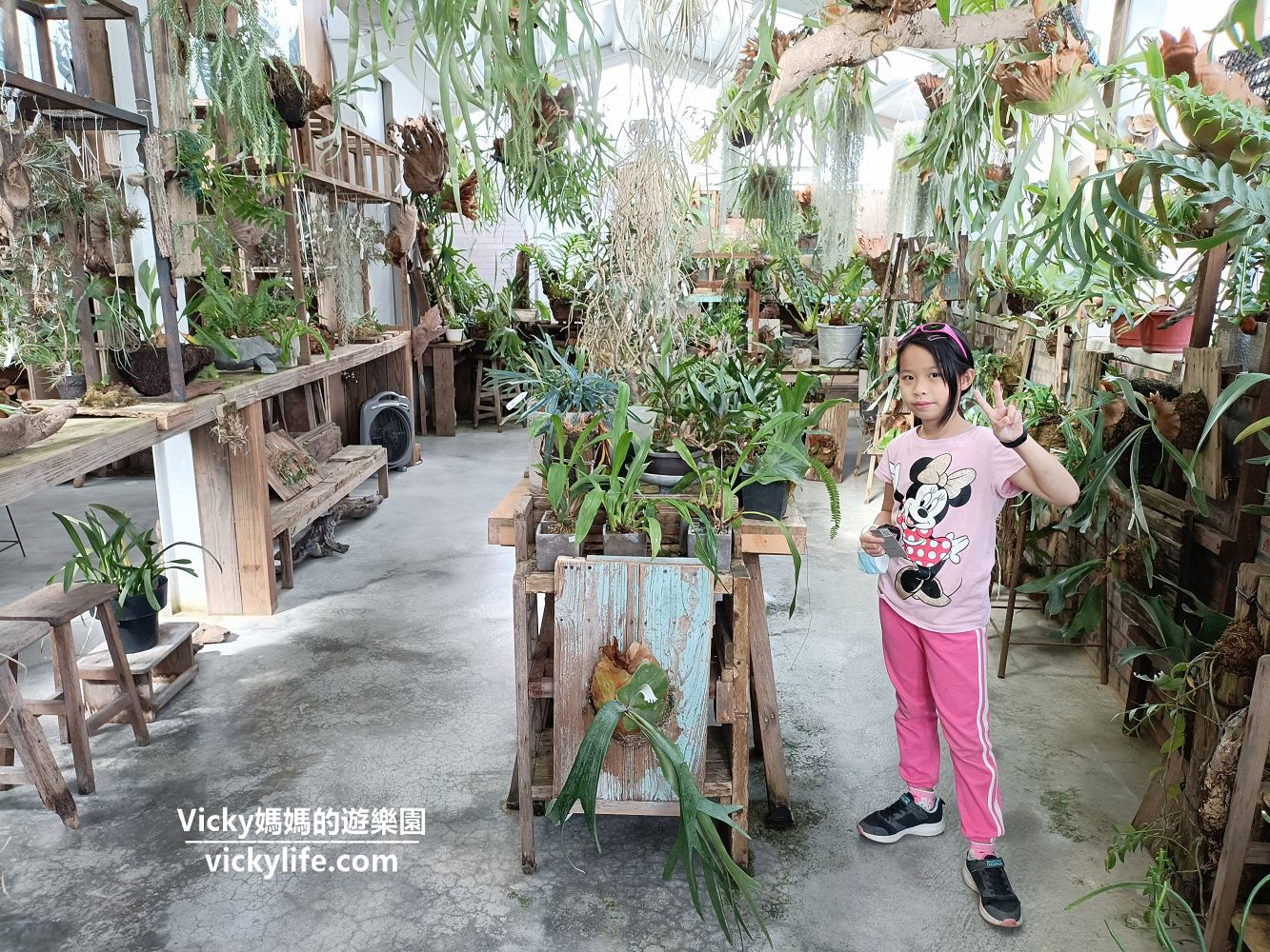 嘉義美食︱梅山 空氣圖書館：森林系餐廳，好看好拍好好吃，從早餐吃到午茶的特色料理餐廳