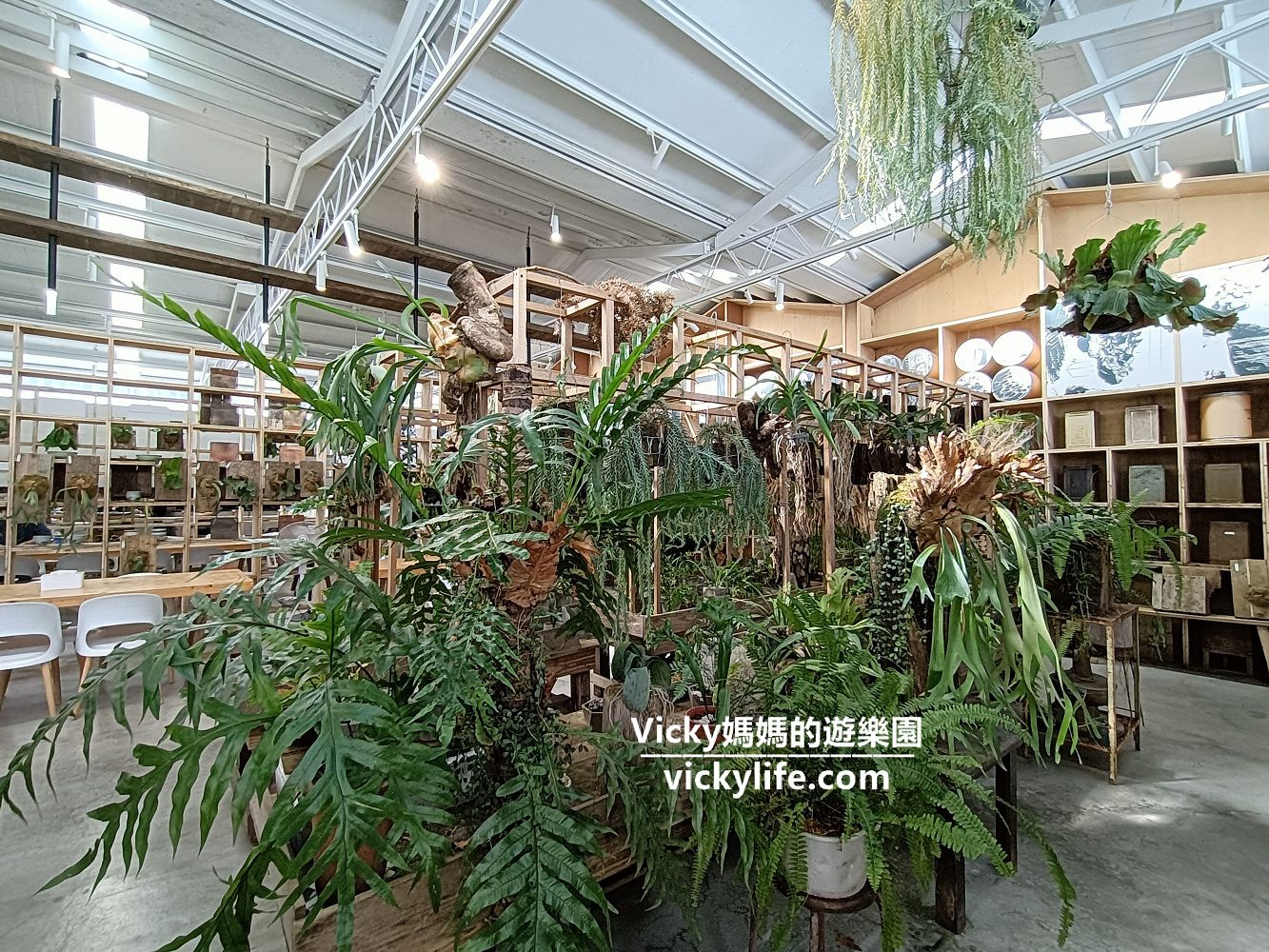 嘉義美食︱梅山 空氣圖書館：森林系餐廳，好看好拍好好吃，從早餐吃到午茶的特色料理餐廳