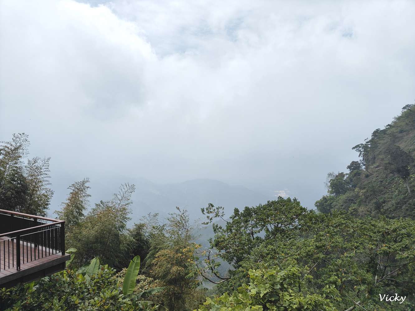 嘉義番路景點｜隙頂二延平步道攻略：雲海、茶園、大景一次看，IG打卡必去！2025年更新
