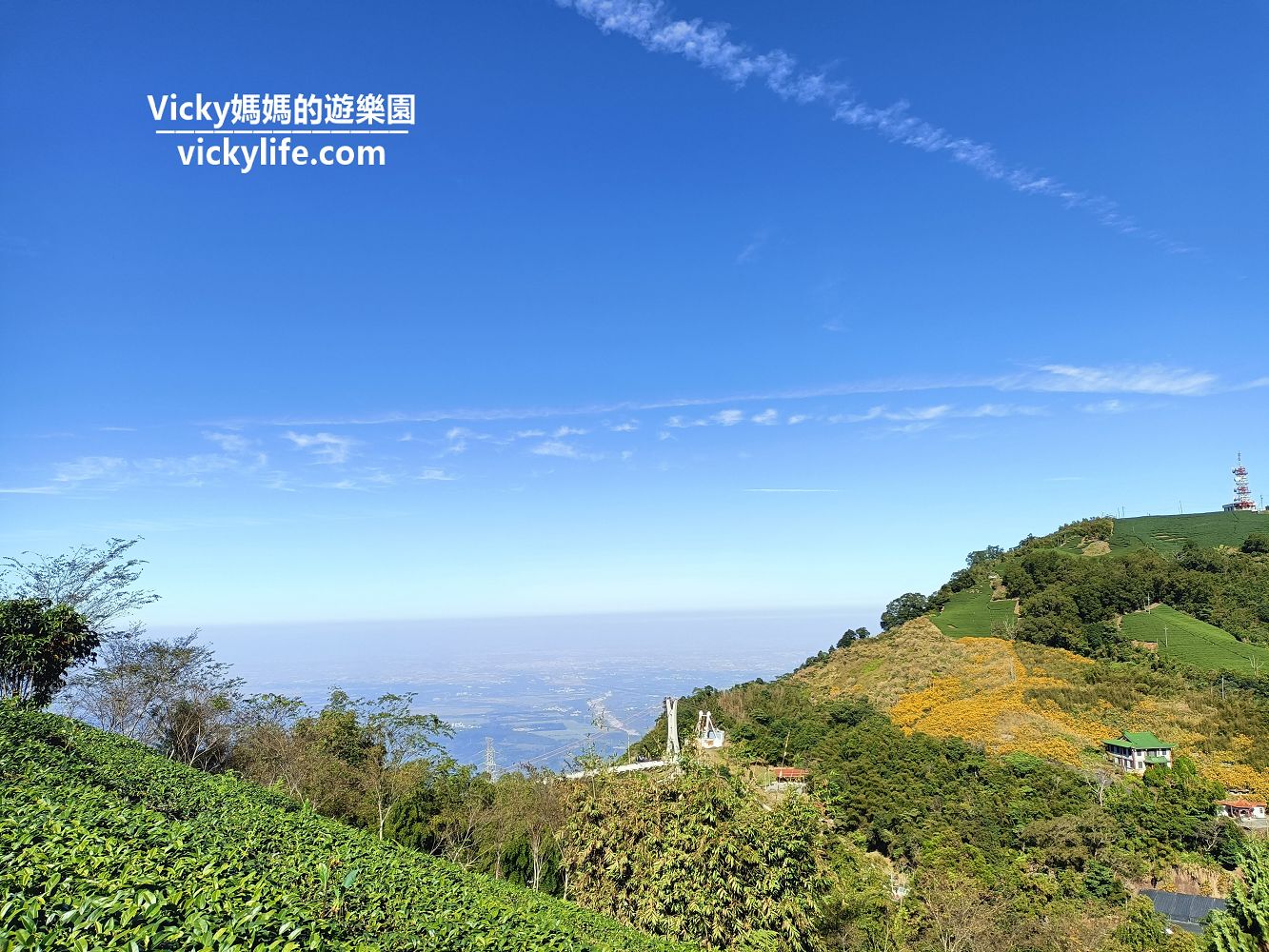 嘉義旅遊︱嘉義景點︱梅山 雲之南道步道：徜徉於藍天白雲和一望無際的茶園間，好藍好白好綠好舒服，緊鄰太平雲梯的好走步道