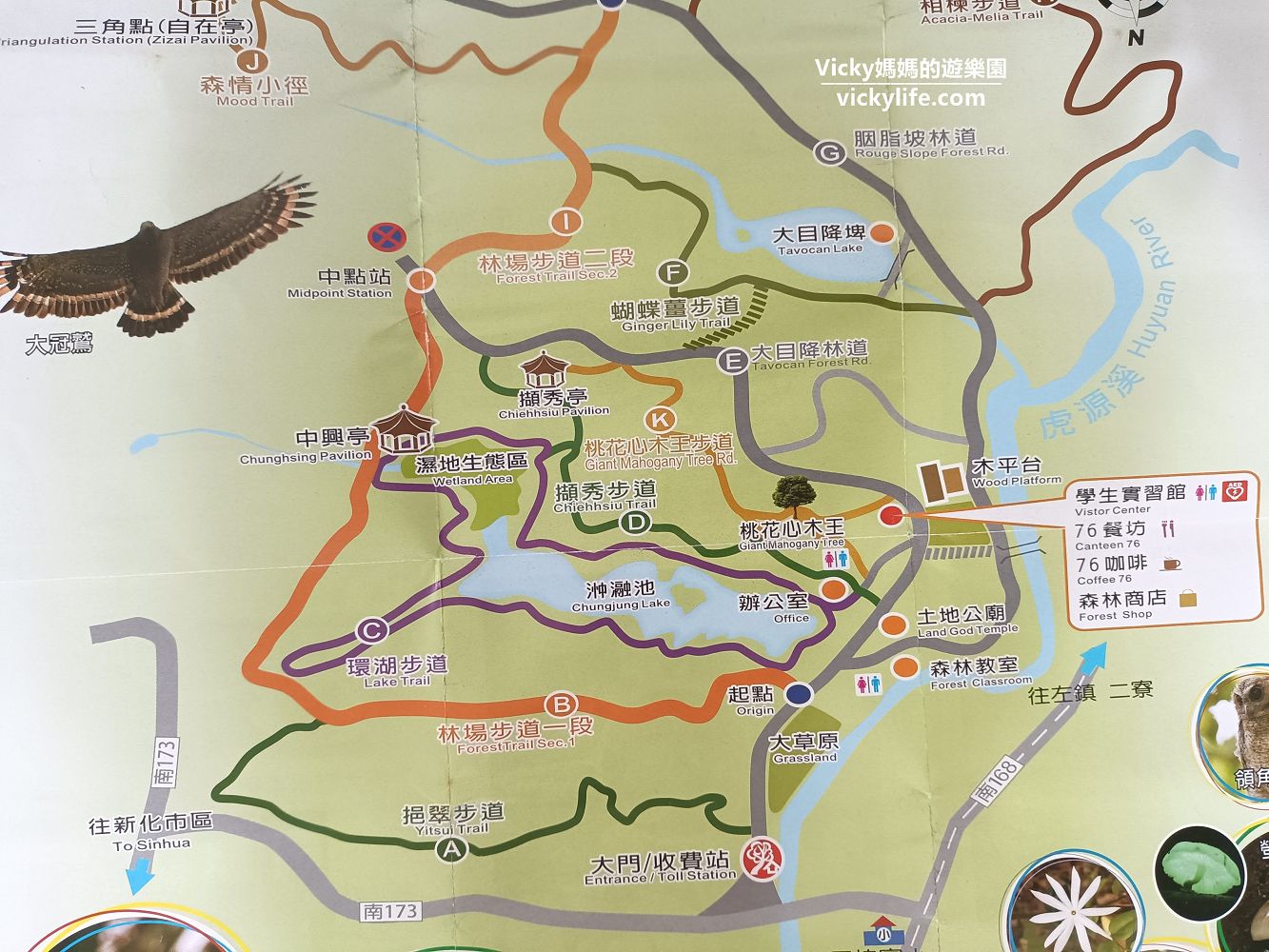 台南旅遊︱台南景點︱新化 中興大學新化林場：步道輕鬆好走且完善，園區內還提供餐飲，挑個周末來享受森林浴吧
