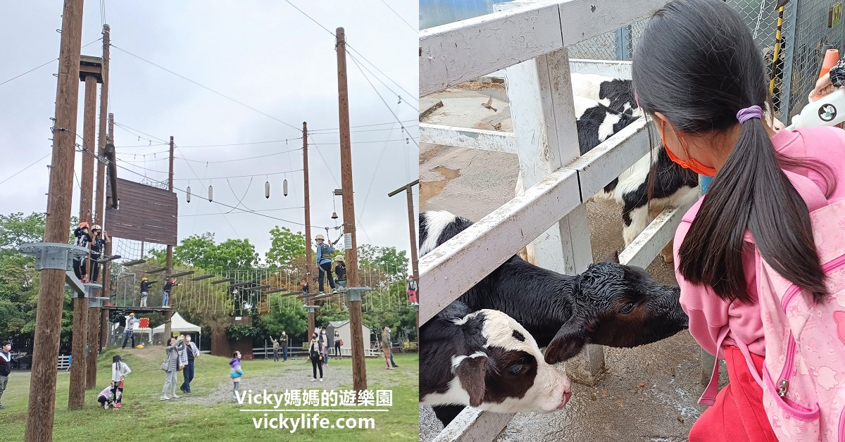 台南景點︱新市 樹谷農場：60元門票就贈牧草和飼料，可以和超多小動物互動與餵食，假日旅遊好去處 @Vicky 媽媽的遊樂園