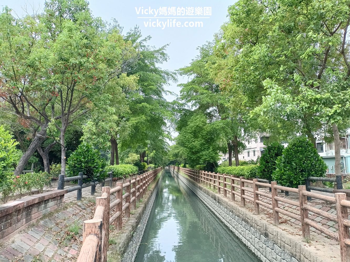 台南景點︱新化 南圳綠堤步道：一起來台南萊茵河散步，河道兩旁就是最舒服的綠蔭大道，還有萬紫千紅九重葛點綴