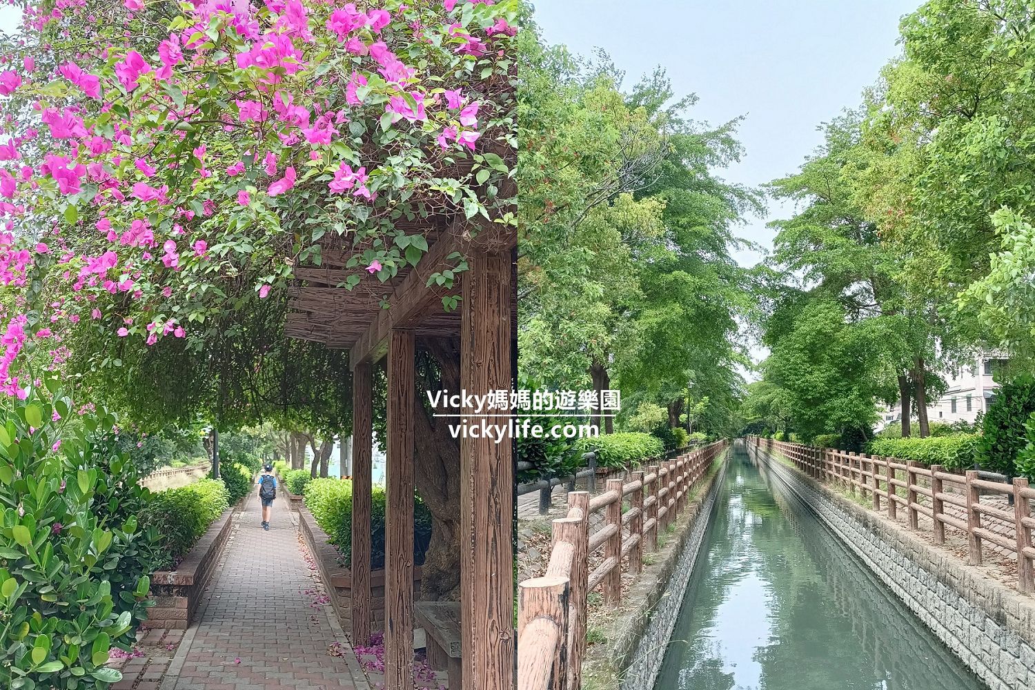 台南景點︱新化 南圳綠堤步道：一起來台南萊茵河散步，河道兩旁就是最舒服的綠蔭大道，還有萬紫千紅九重葛點綴 @Vicky 媽媽的遊樂園