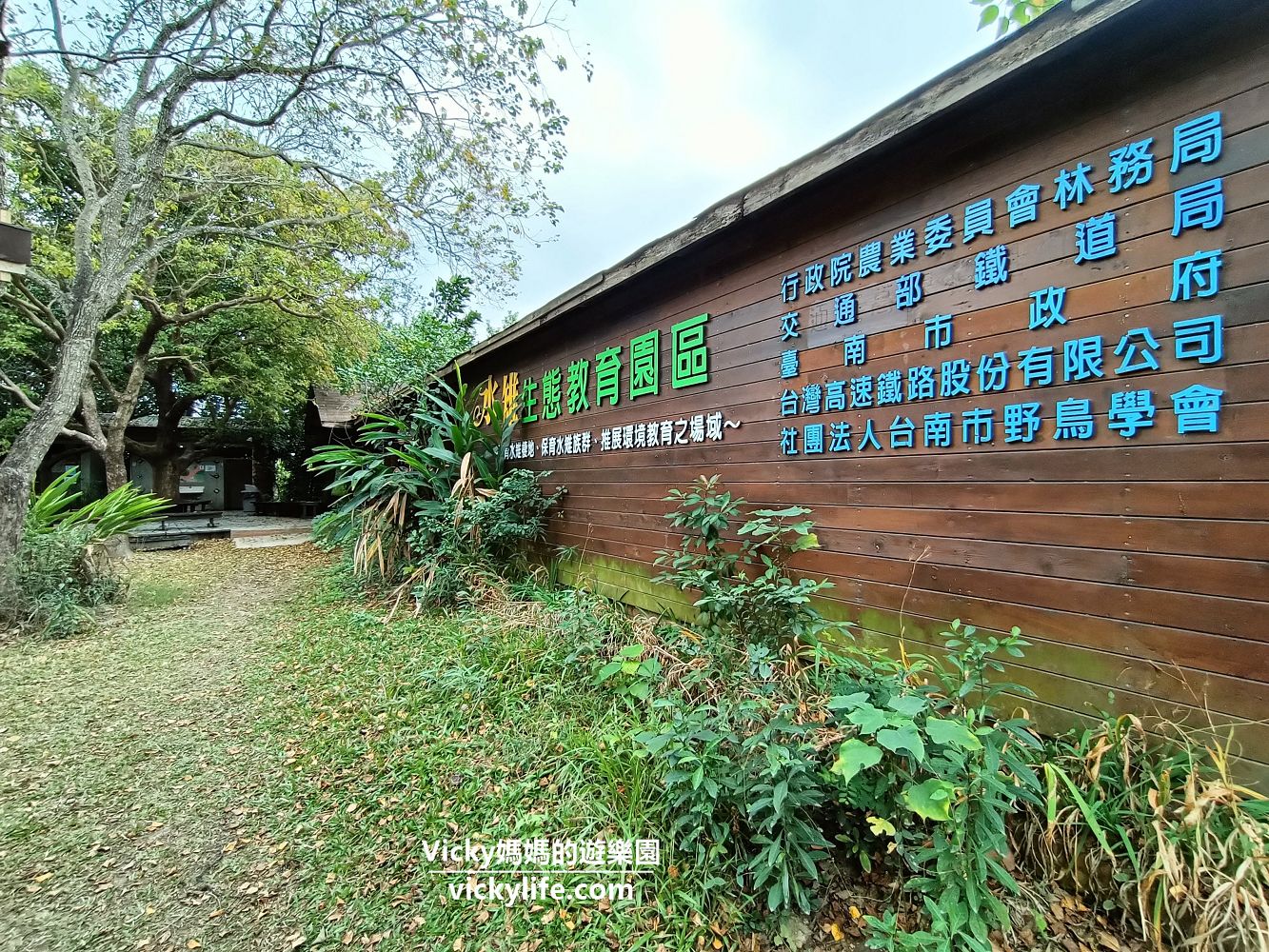 台南旅遊︱台南景點︱官田 水雉生態教育園區：全台唯一！想看凌波仙子的身影，一定要來這邊瞧一瞧