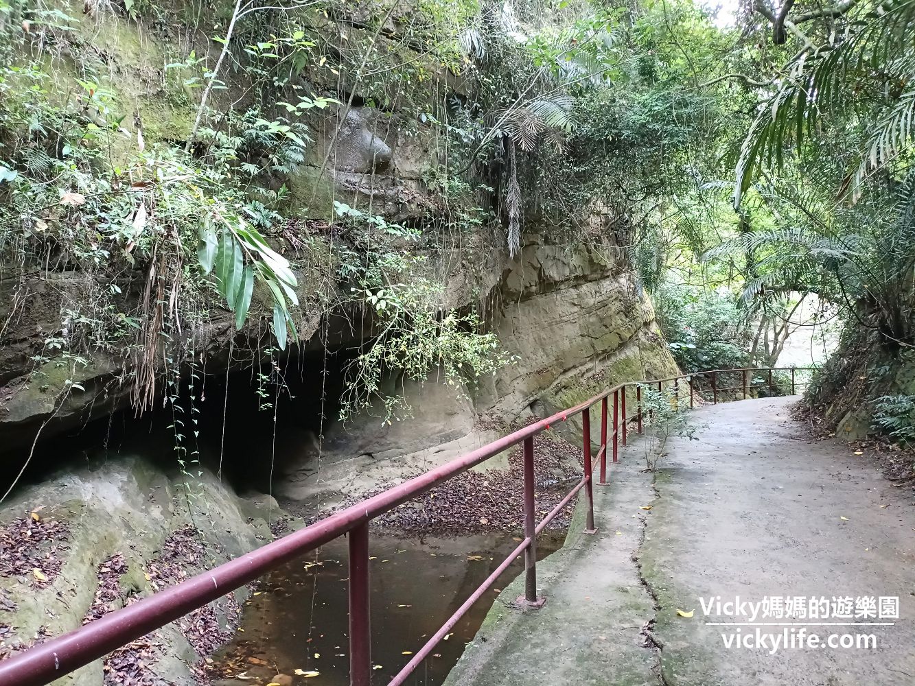 台南景點︱楠西 蝙蝠洞瀑布：不到5分鐘就可以看瀑布和壯觀岩壁，仰望天空還可以看到忽胖忽瘦的台灣喔