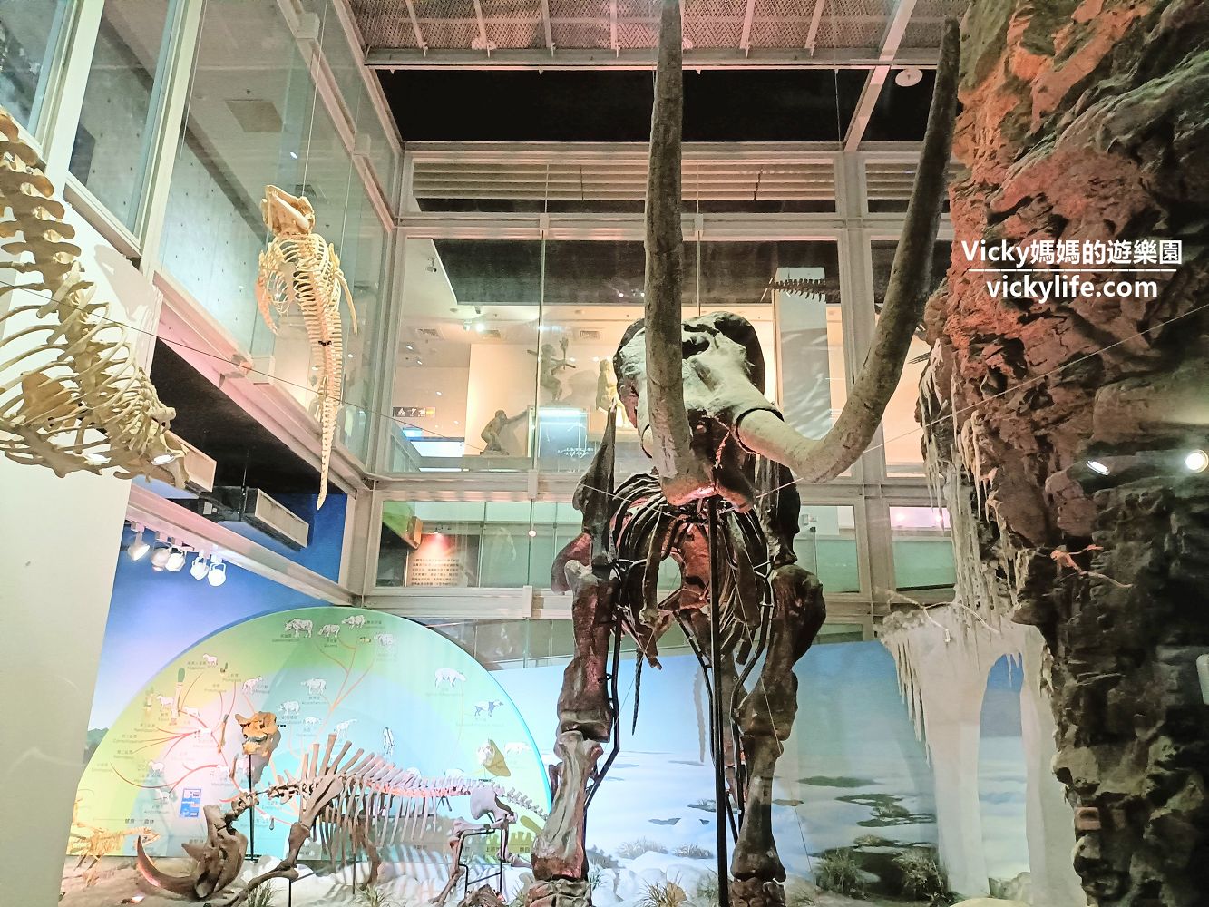 台南旅遊︱台南景點︱新市 樹谷生活科學館：好多巨型恐龍化石，還可騎乘恐龍，一旁還有農場可順遊，假日就這樣玩起來