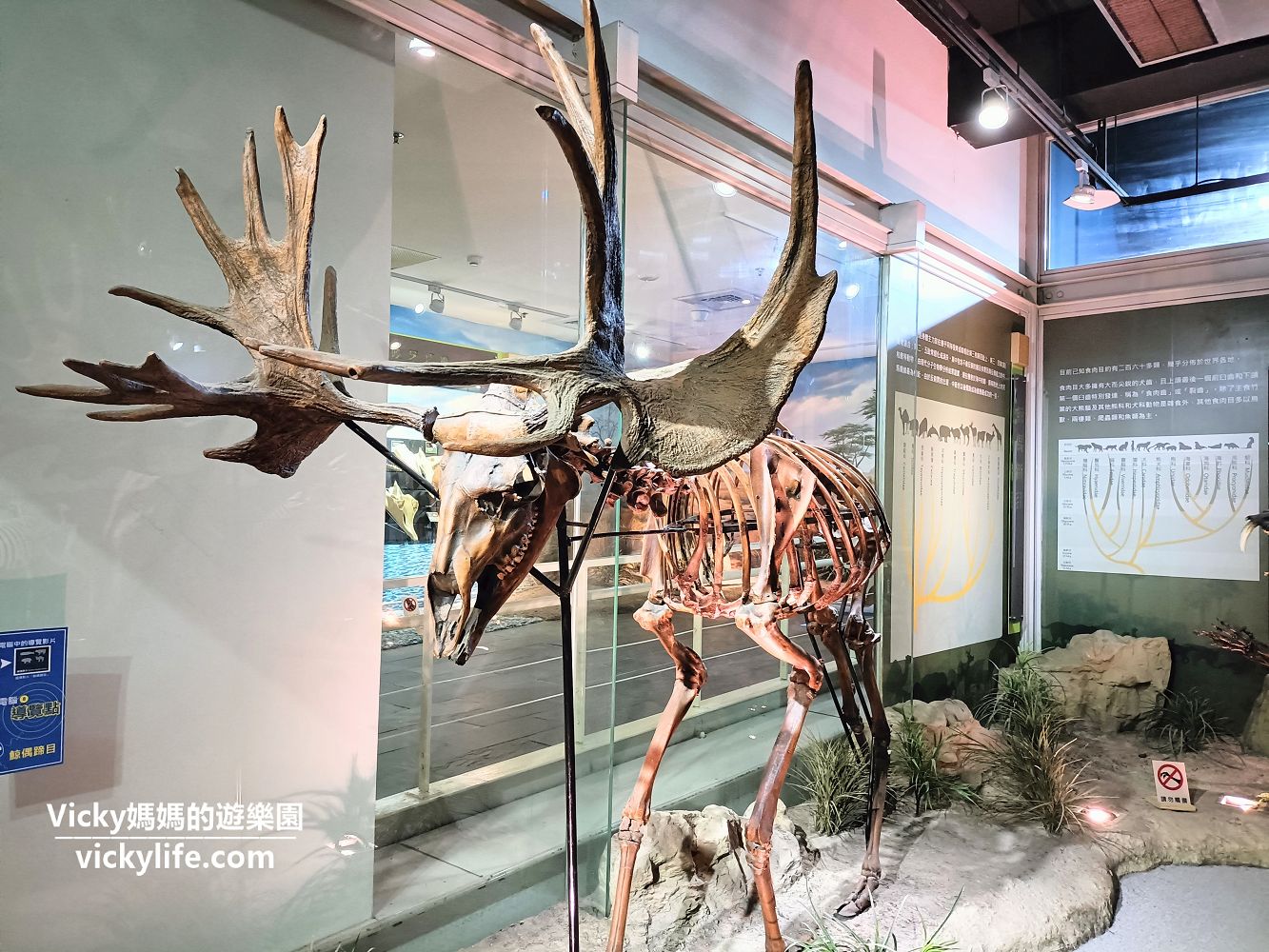台南旅遊︱台南景點︱新市 樹谷生活科學館：好多巨型恐龍化石，還可騎乘恐龍，一旁還有農場可順遊，假日就這樣玩起來