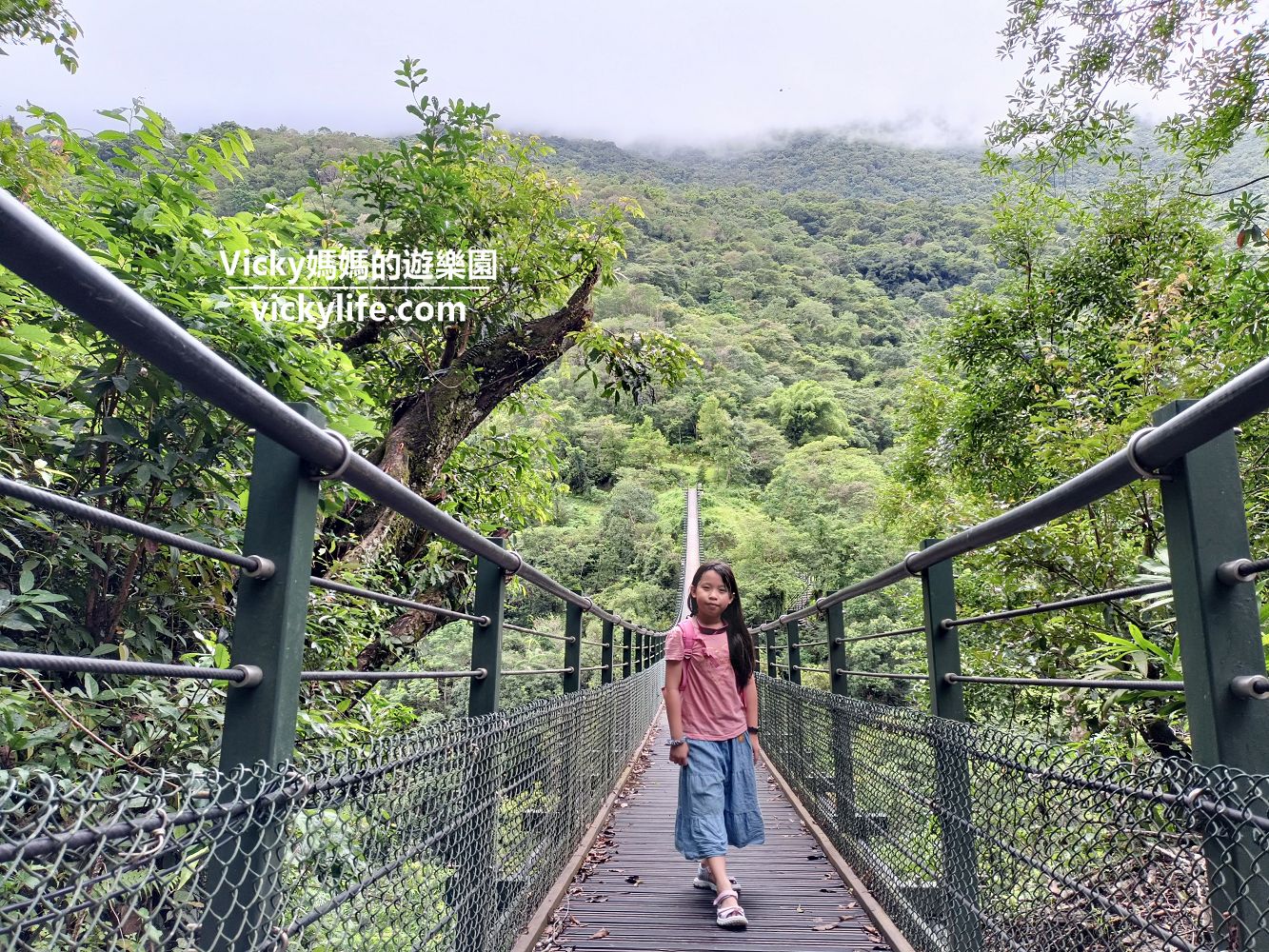 花蓮瑞穗 富源國家森林遊樂區:擁全國最大樟樹森林,賞漫天飛舞蝴蝶,走山谷間吊橋 @Vicky 媽媽的遊樂園