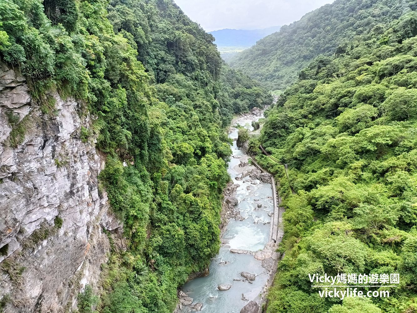 花蓮瑞穗 富源國家森林遊樂區:擁全國最大樟樹森林,賞漫天飛舞蝴蝶,走山谷間吊橋 @Vicky 媽媽的遊樂園