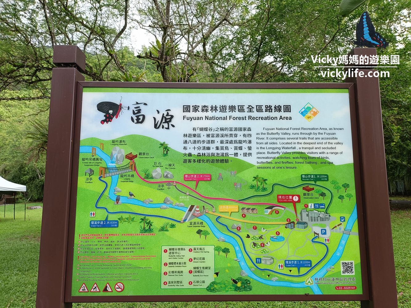 花蓮瑞穗 富源國家森林遊樂區:擁全國最大樟樹森林,賞漫天飛舞蝴蝶,走山谷間吊橋 @Vicky 媽媽的遊樂園