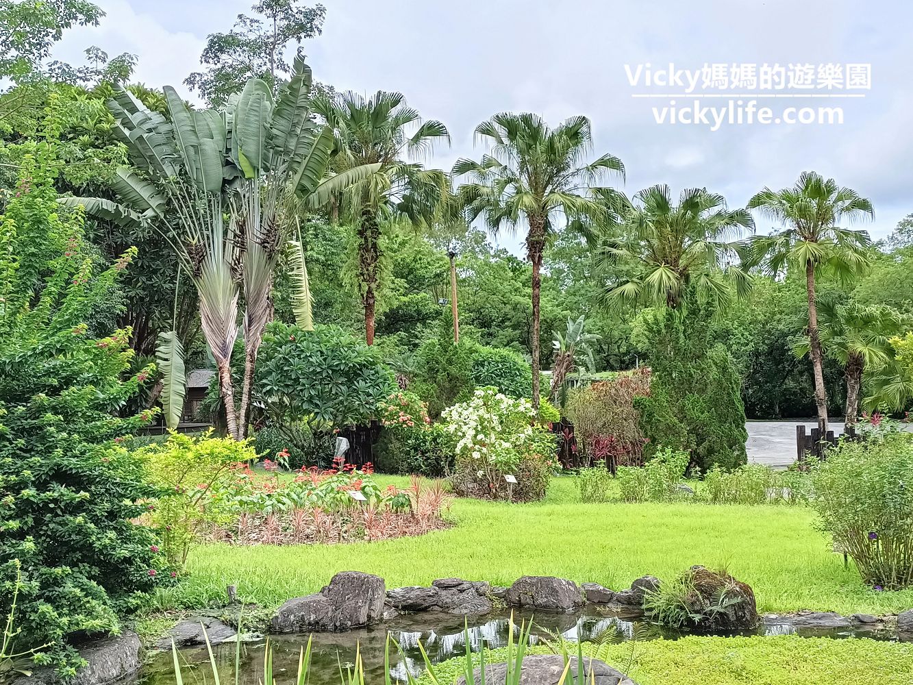 花蓮瑞穗 富源國家森林遊樂區:擁全國最大樟樹森林,賞漫天飛舞蝴蝶,走山谷間吊橋 @Vicky 媽媽的遊樂園