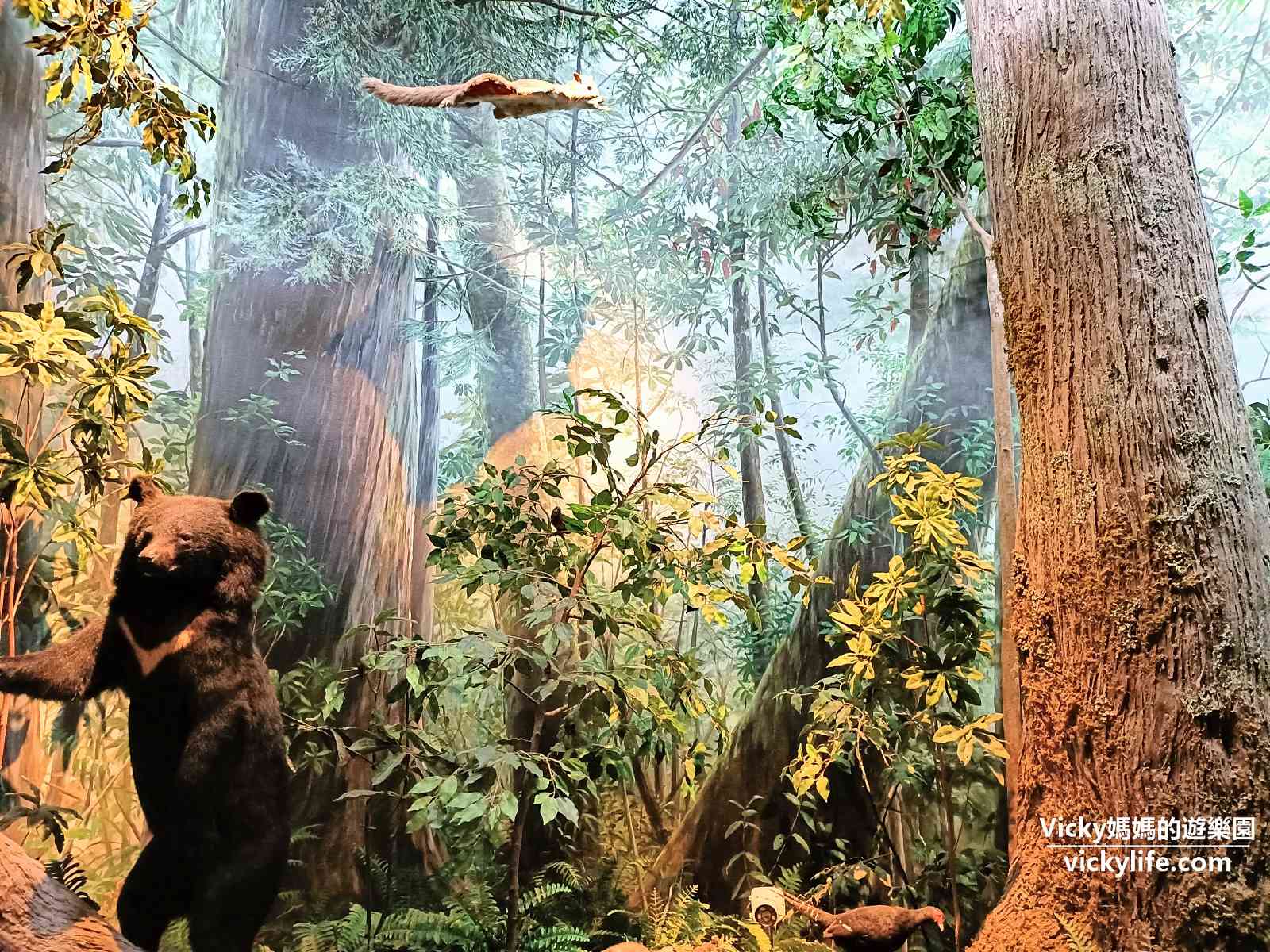 台中親子景點|國立自然科學博物館：展覽內容包羅萬象，根本就是一本超級大百科