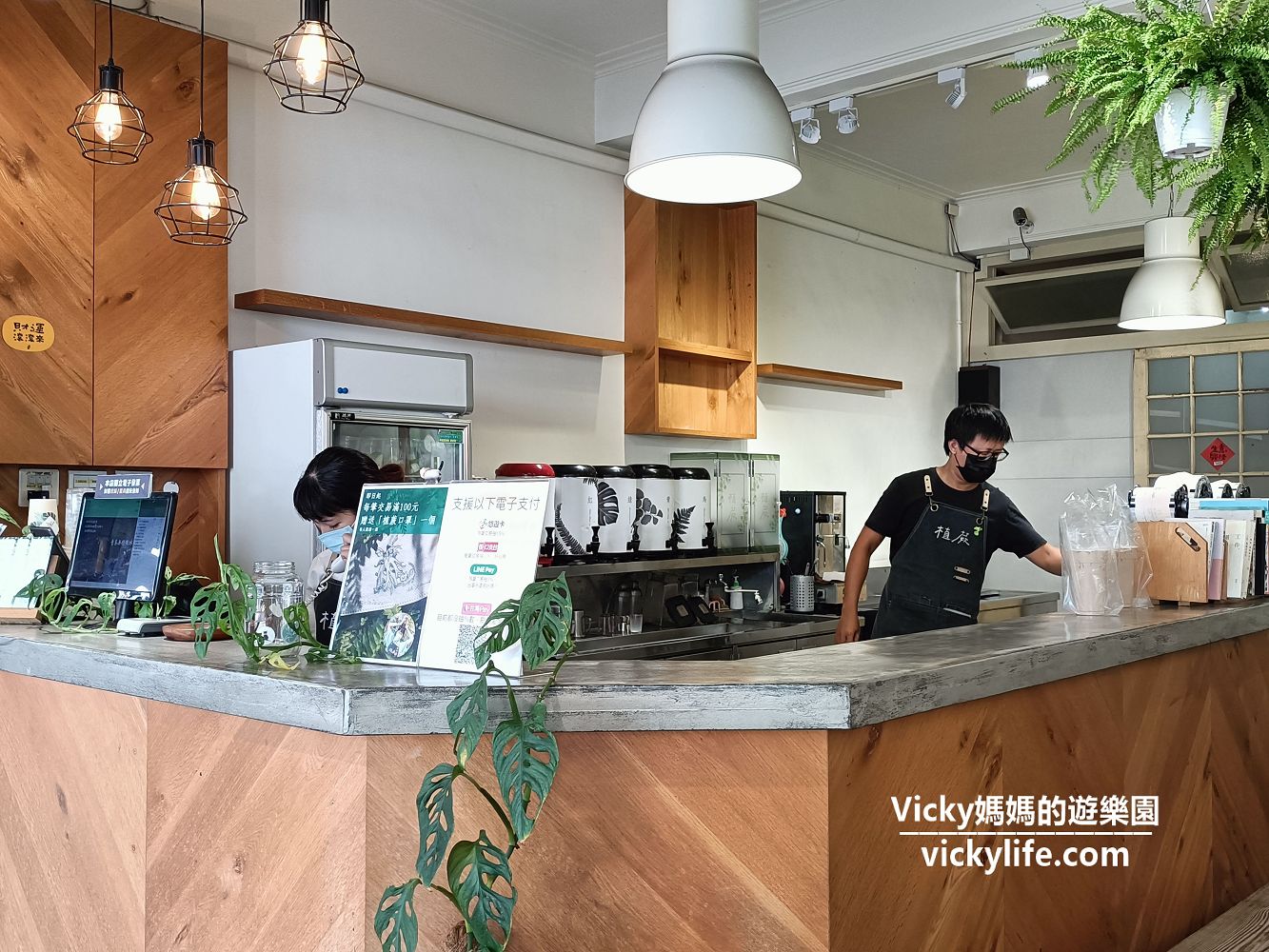 台南飲料|植蕨茶飲專賣店：滿滿療癒蕨類植物飲料店，植物控必訪