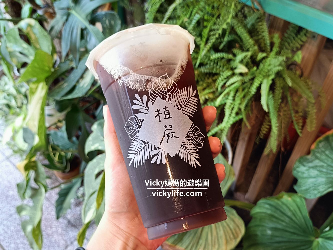 台南飲料|植蕨茶飲專賣店：滿滿療癒蕨類植物飲料店，植物控必訪