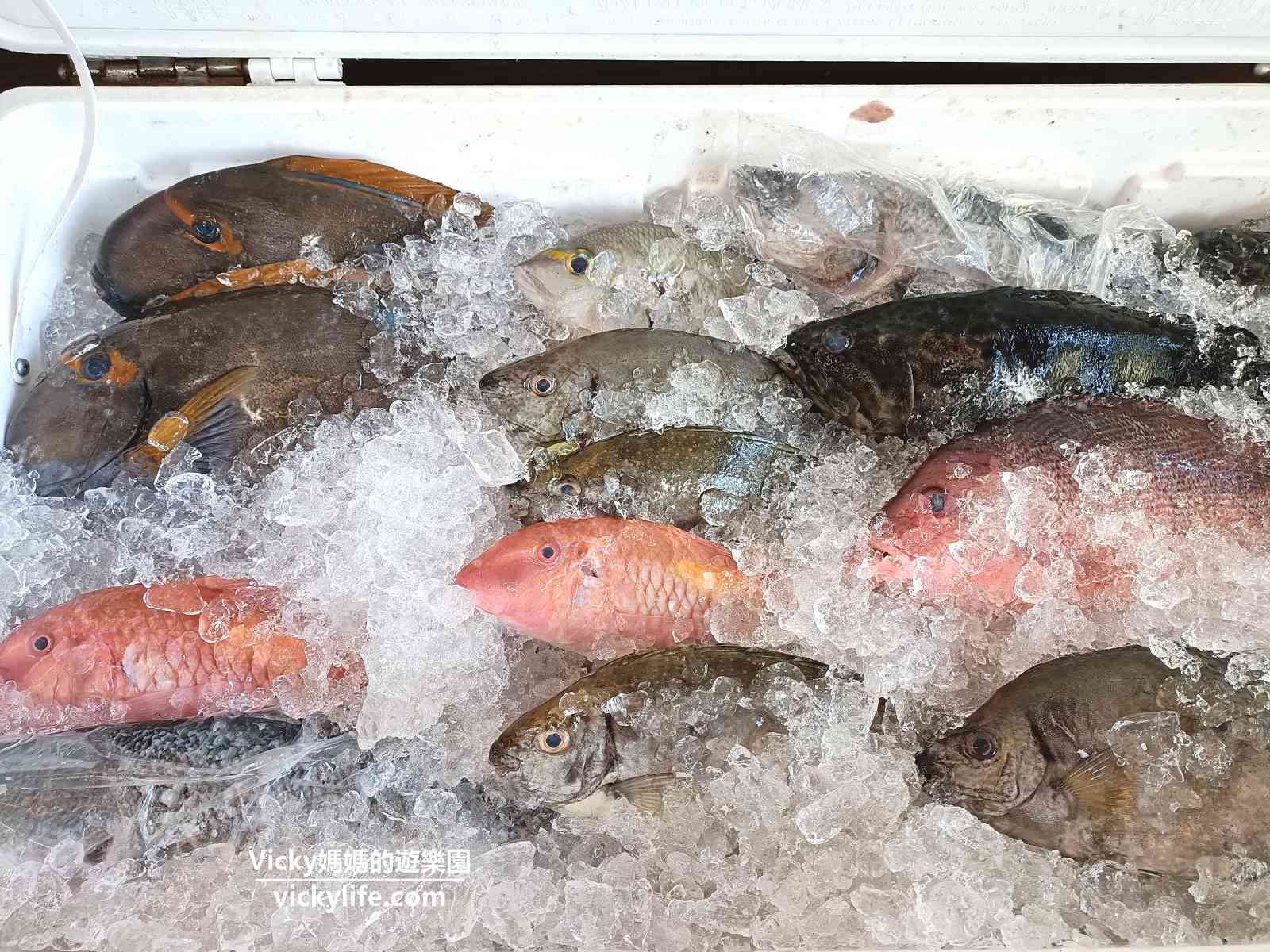 後壁湖生魚片︱易之林海鮮餐廳：生魚片銅板價，還可欣賞海景(菜單)
